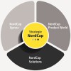 Strategische Neuaufstellung: Die drei Geschäftsfelder der Nordcap Group