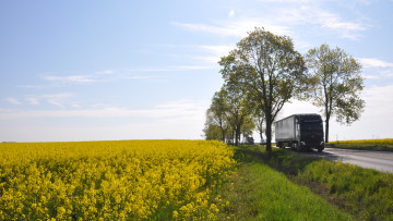 Biokraftstoffindustrie: Klimaschutzbericht für Verkehrssektor ernüchternd