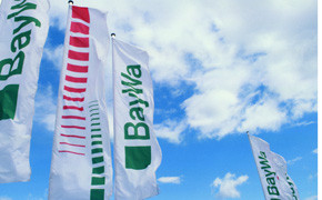 BayWa: Ergebnis sinkt im ersten Quartal Baywa Fahnen