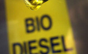 Nur noch 60.000 Tonnen: Verkauf von reinem Biodiesel eingebrochen Biodiesel.