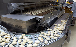 Gebacken kriegen: Forscher arbeiten an einem natürlichen Frostschutz für Tiefkühl-Brötchen.