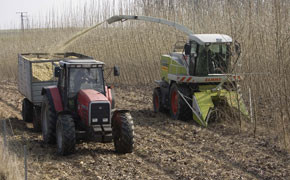 Verkauf: Shell steigt bei Choren Industries aus Choren Industries, Traktor