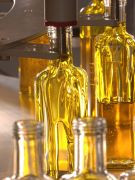 Steuern auf Biodiesel: Steuer ruiniert Ölmühlen Öl