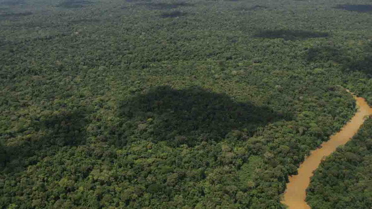 Nationalpark Yasuní: Ecuador erlaubt Erdölförderung in Unesco-Biosphärenreservat