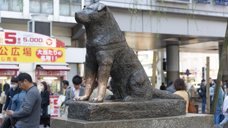 Hachiko Japan Statue