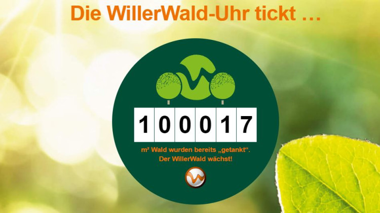 Initiative für mehr Wald im Norden: Umweltprojekt Willer Wald knackt 100.000 Quadratmeter-Marke 