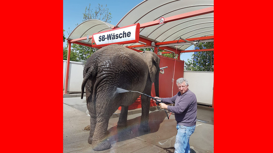 Im Mai 2018 kam ein Zirkuselefant zur star Tankstelle in Zeulenroda, um sich mit dem Hochdruckreiniger der Station vom Zirkusdirektor säubern zu lassen. 
