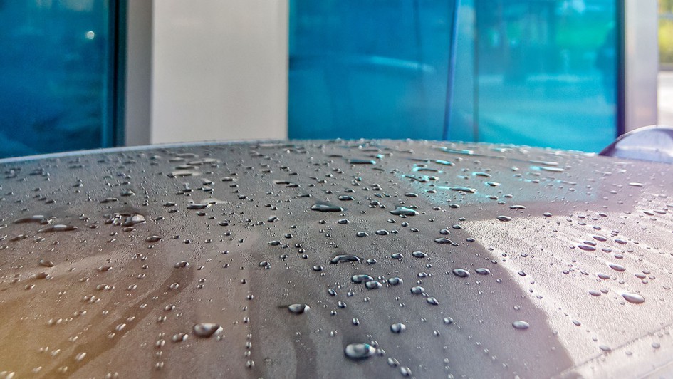 Washin und Sonax in Hof